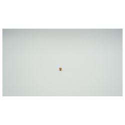BWT Verschlussstopfen für Multipur M, G 1/8" DIN 908, 1-759844... BWT-1-759844 9008487099303 (Abb. 1)