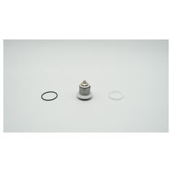 BWT Ventileinsatz für DR-Modul Größe 1... BWT-1-902255 9008487104137 (Abb. 1)