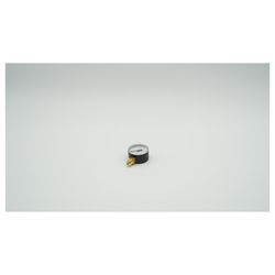 BWT Manometer 50 1/4" 0-10 bar für Druckminderer Module... BWT-2-061096 9008487307361 (Abb. 1)