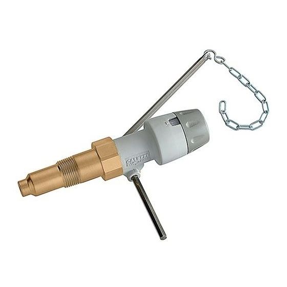 Caleffi Feuerungsregler 529 3/4Zx58mm