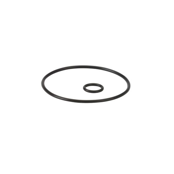 Danfoss O-Ring, Deckeldichtung 54 mm für alle Pumpen (50er Abnahme)