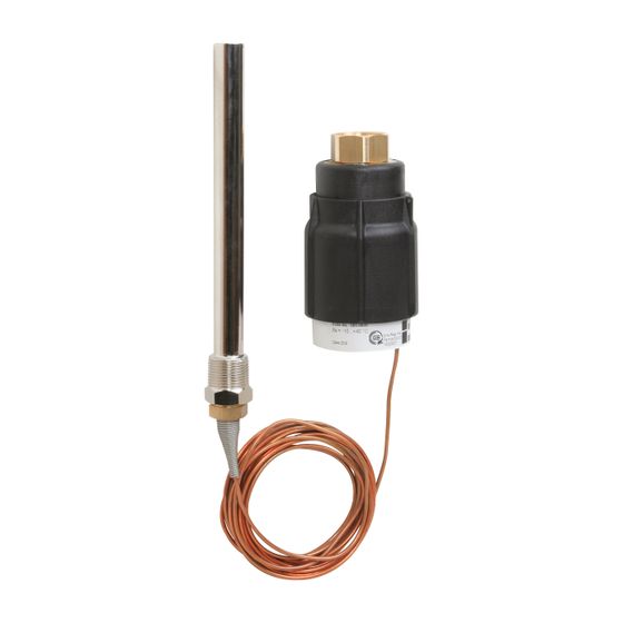 Danfoss thermostatischer Antrieb AVT, mit Tauchhülse, Sollwert 20-70 Grad, R 1/2