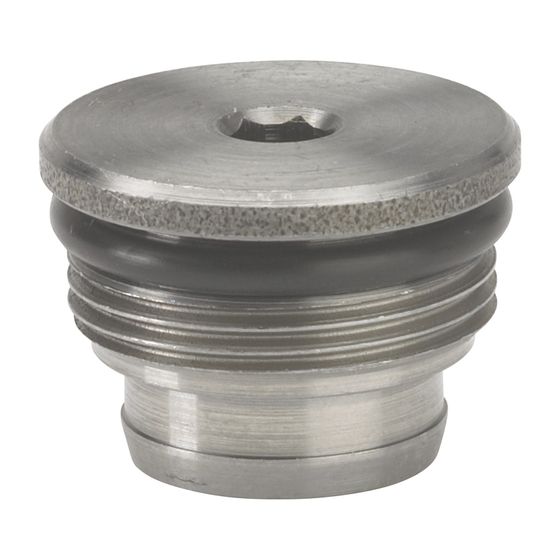 Danfoss Filterstopfen mit O-Ring für BFP, für Filterpatrone, 071N0074