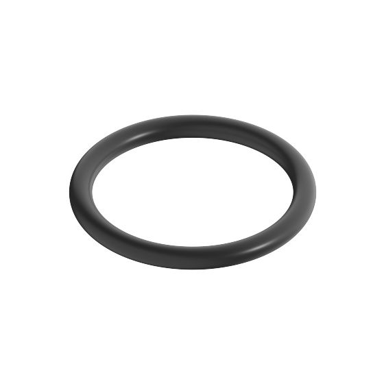 Dornbracht O-Ring, 21,5x2,5mm, 09141001590