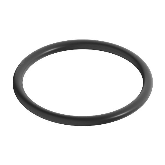 Dornbracht O-Ring, 30x2,5mm, 09141010190