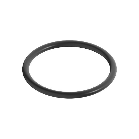 Dornbracht O-Ring, 24x2mm, 09141011290