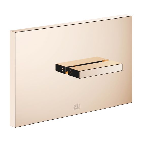 Dornbracht Abdeckplatte für Tece WC-UP-Spülkasten 150x240x15mm Zwei-Mengen-Technik, Champagne 22kt Gold, 12660979-47