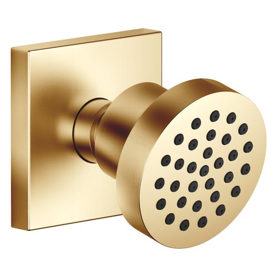 Dornbracht Seitenbrause MEM 5l/min Brausekopf 55mm Kugelgelenk 25 Grad schwenkbar, Gold gebürstet PVD