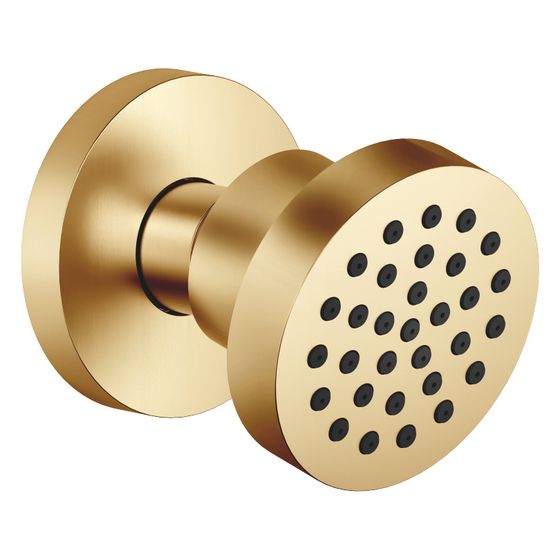 Dornbracht Seitenbrause ohne Mengenregulierung FlowReduce schwenkbar Horizontal Rain 5l/min, Gold gebürstet PVD