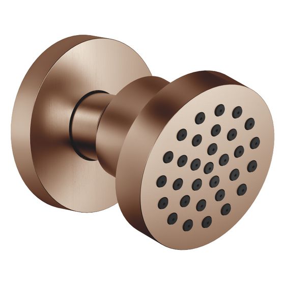 Dornbracht Seitenbrause ohne Mengenregulierung FlowReduce schwenkbar Horizontal Rain 5l/min, Bronze gebürstet