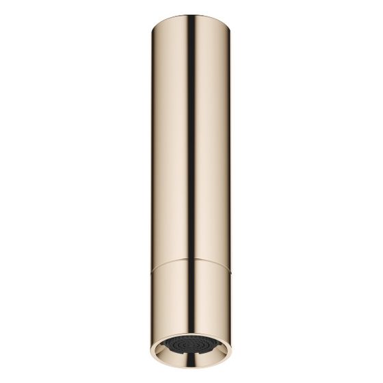 Dornbracht Kopfbrause mit Deckenanbindung 8l/min Anschluss G 1/2