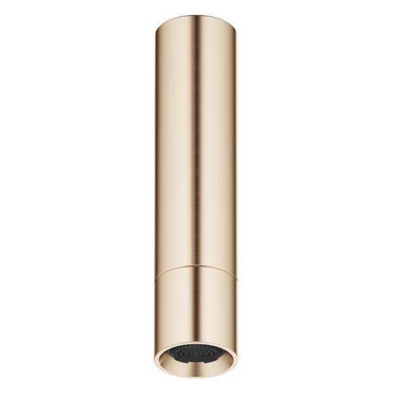 Dornbracht Kopfbrause mit Deckenanbindung FlowReduce 6,8l/min Anschluss G 1/2