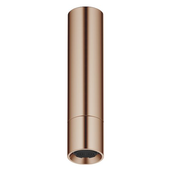Dornbracht Kopfbrause mit Deckenanbindung 8l/min Anschluss G 1/2