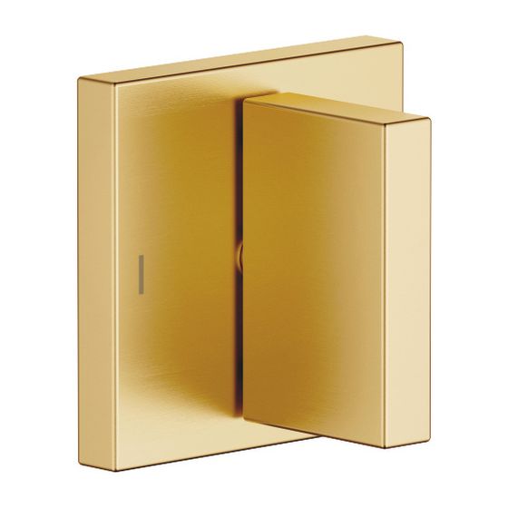 Dornbracht Zweiwege-Umstellung Unterputz Mem, eckig, schwenkbar, Rosette 60x60mm, Messing gebürstet 23kt Gold