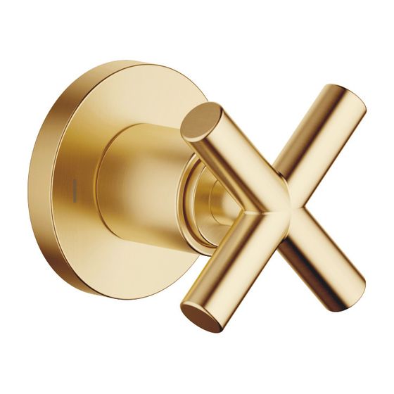 Dornbracht Unterputz-Zweiwege-Umstellung Tara, Rosette 60mm, Messing gebürstet 23kt Gold, 36200892-28