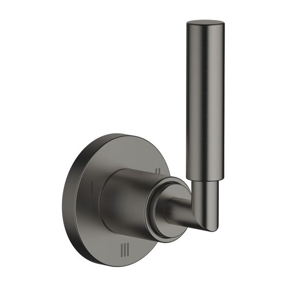 Dornbracht Unterputz-Dreiwege-Umstellung Tara, Rosette 60mm, Dark Platinum gebürstet, 36210882-99