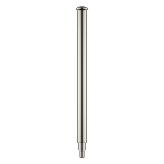 Dornbracht Bürstengriff, Platin, 90282253803-08