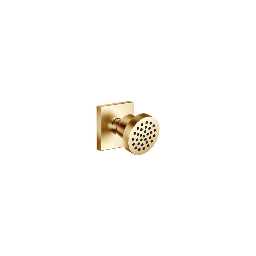 Dornbracht Seitenbrause MEM 5l/min Brausekopf 55mm Kugelgelenk 25 Grad schwenkb... DORNBRACHT-28518782-28 4029011898655 (Abb. 2)
