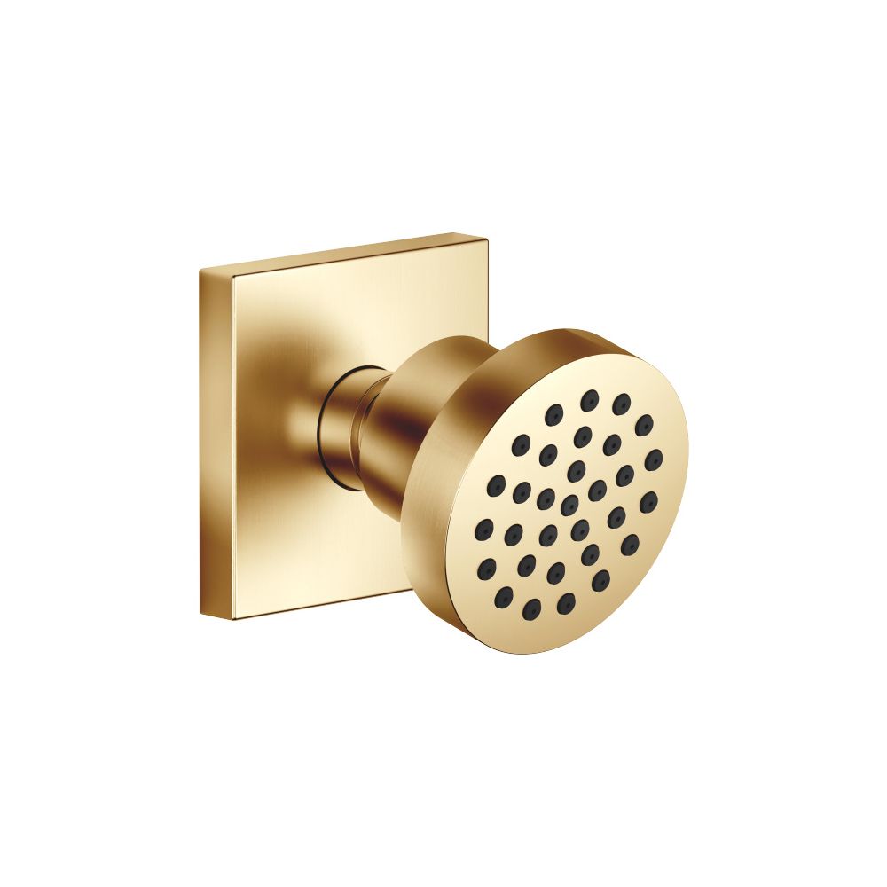 Dornbracht Seitenbrause MEM 5l/min Brausekopf 55mm Kugelgelenk 25 Grad schwenkb... DORNBRACHT-28518782-37 4099477435183 (Abb. 2)