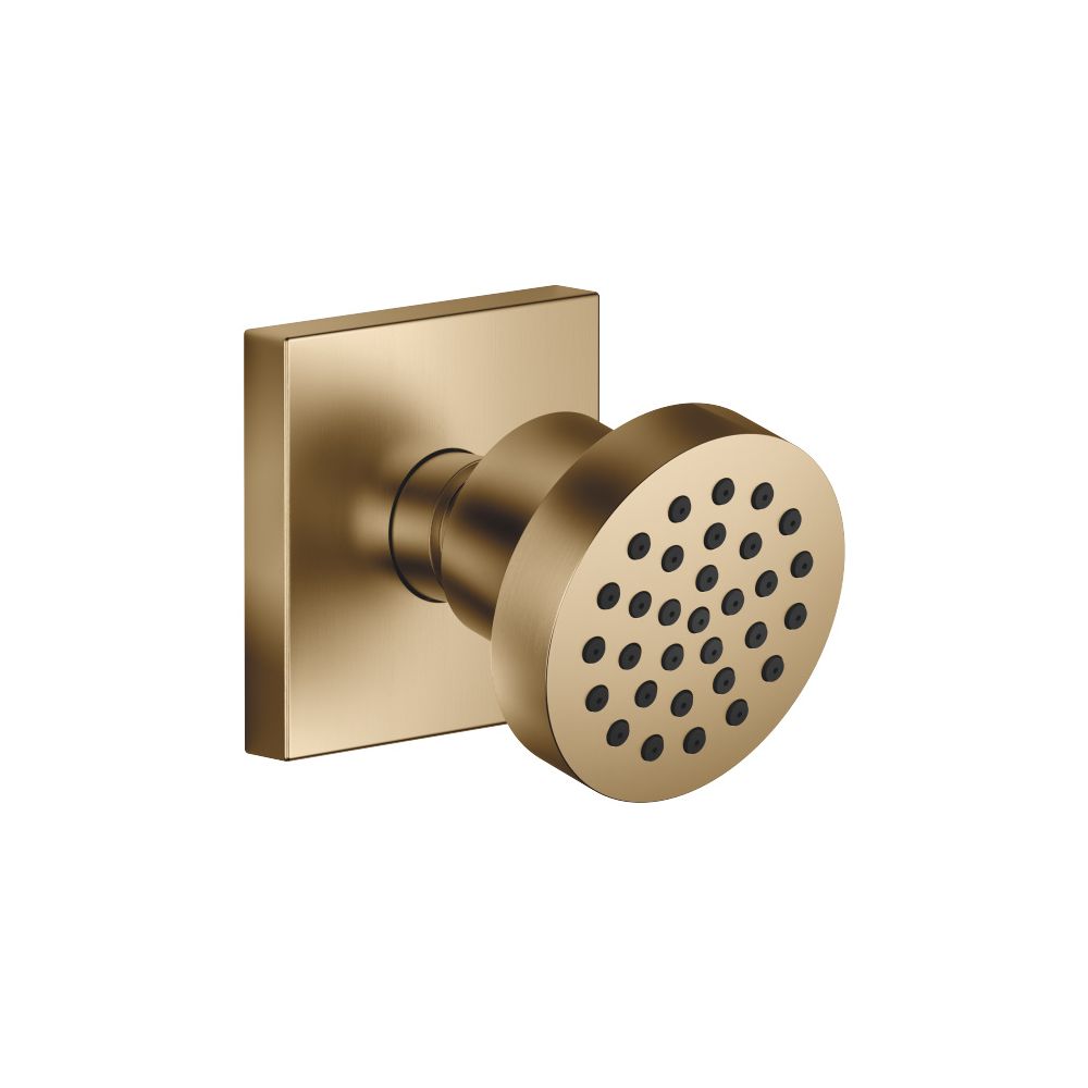 Dornbracht Seitenbrause MEM 5l/min Brausekopf 55mm Kugelgelenk 25 Grad schwenkb... DORNBRACHT-28518782-39 4099477400211 (Abb. 2)