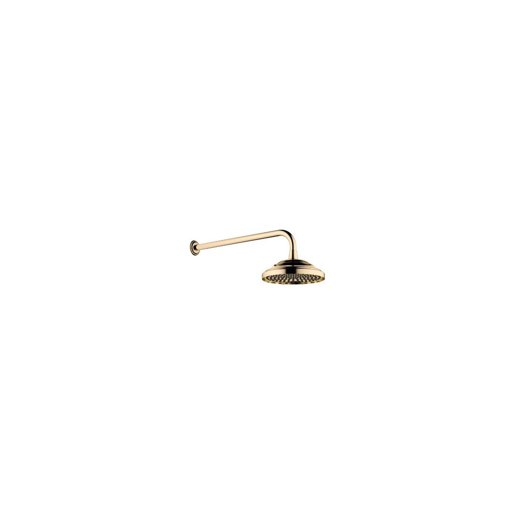 Dornbracht Regenbrause mit Wandanbindung Madison 14l/min, Ausladung 435mm, Mess... DORNBRACHT-28545977-09 4029011412721 (Abb. 2)
