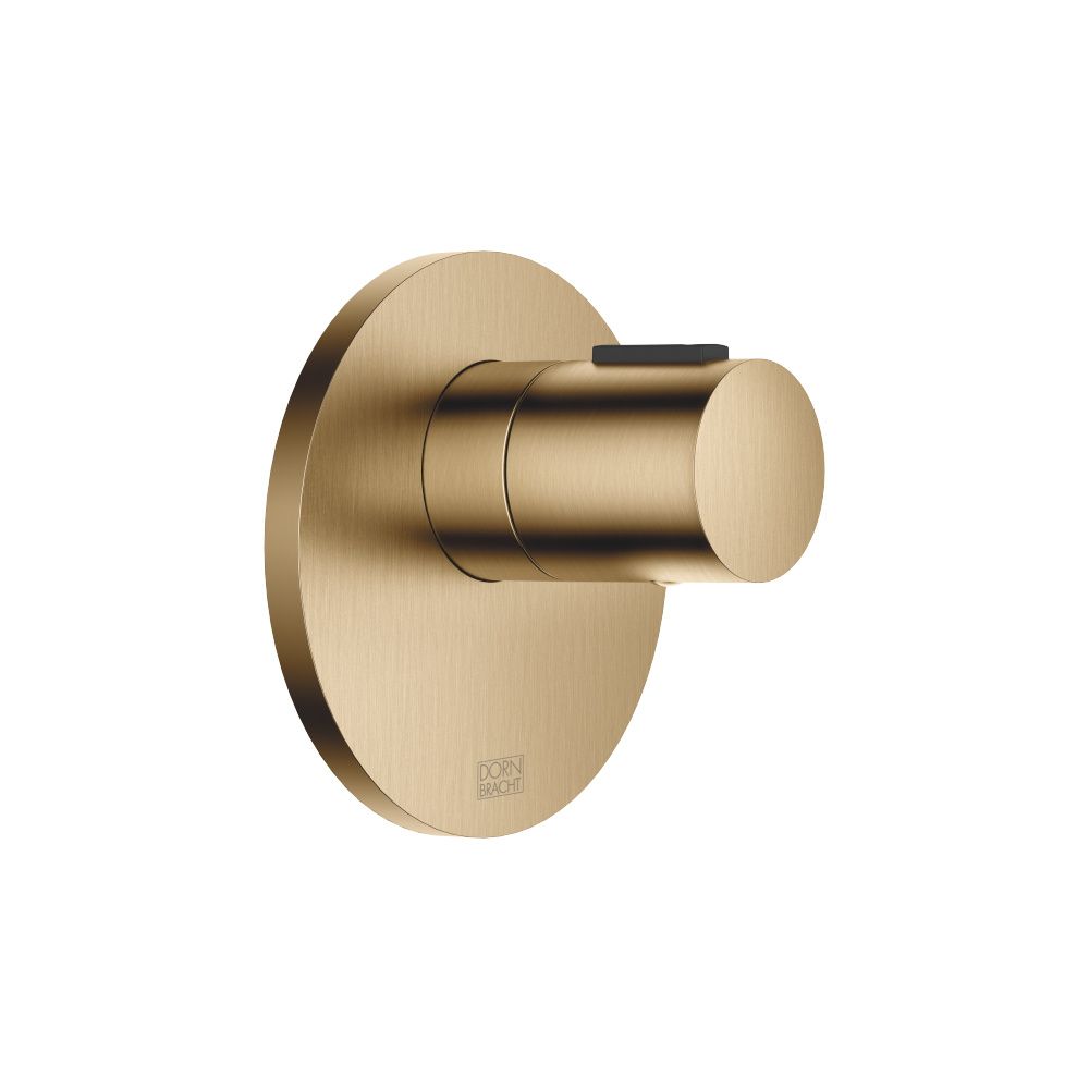 Dornbracht Unterputz-Thermostat Xtool ohne Mengenregulierung Abdeckplatte D 124... DORNBRACHT-36501979-39 4099477350042 (Abb. 2)