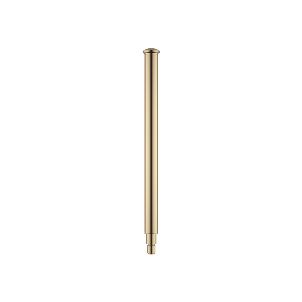 Dornbracht Bürstengriff, Messing 23kt Gold, 90282253803-09... DORNBRACHT-90282253803-09 4029011481475 (Abb. 2)