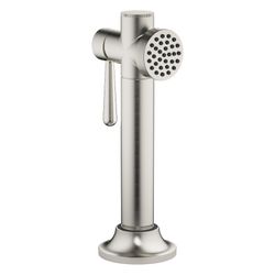 Dornbracht Spülbrausegarnitur Vaia mit runder Rosette, Platin gebürstet... DORNBRACHT-27718809-06 4099477167787 (Abb. 1)