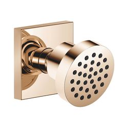 Dornbracht Seitenbrause MEM 5l/min Brausekopf 55mm Kugelgelenk 25 Grad schwenkb... DORNBRACHT-28518782-47 4029011696800 (Abb. 1)
