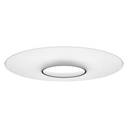 Dornbracht Regenpaneel Rainmoon mit LED-Beleuchtung 2 Strahlarten Aquacircle Ra... DORNBRACHT-41610979-10 4029011820663 (Abb. 1)