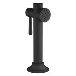 Dornbracht Spülbrausegarnitur Vaia mit runder Rosette, Schwarz matt... DORNBRACHT-27718809-33 4099477167831 (Abb. 1)