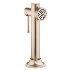 Dornbracht Spülbrausegarnitur Vaia mit runder Rosette, Champagne gebürstet 22kt... DORNBRACHT-27718809-46 4099477167855 (Abb. 1)