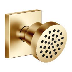 Dornbracht Seitenbrause MEM 5l/min Brausekopf 55mm Kugelgelenk 25 Grad schwenkb... DORNBRACHT-28518782-28 4029011898655 (Abb. 1)