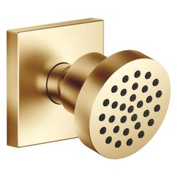 Dornbracht Seitenbrause MEM 5l/min Brausekopf 55mm Kugelgelenk 25 Grad schwenkb... DORNBRACHT-28518782-37 4099477435183 (Abb. 1)