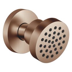 Dornbracht Seitenbrause ohne Mengenregulierung FlowReduce schwenkbar Horizontal... DORNBRACHT-28518979-42 4099477109404 (Abb. 1)