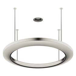 Dornbracht Regenpaneel für Aquahalo, Platin gebürstet 605mm, 41750979-06... DORNBRACHT-41750979-06 4099477200545 (Abb. 1)