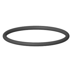 Dornbracht O-Ring, 31x2mm, 09141004090... DORNBRACHT-09141004090 4029011103087 (Abb. 1)