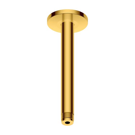 Duravit Brausearm Länge 200mm Deckemontage Rosette rund, Gold poliert