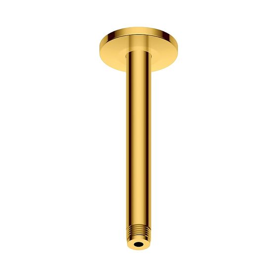 Duravit Brausearm Länge 200mm Deckemontage Rosette rund, Gold poliert
