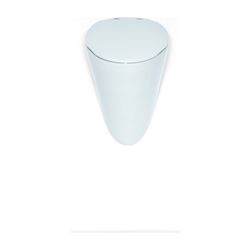 Duravit Urinal Deckel Starck 1 320x267x30mm, Weiß, Edelstahl Scharnier... DURAVIT-0065910000 4021534011627 (Abb. 1)