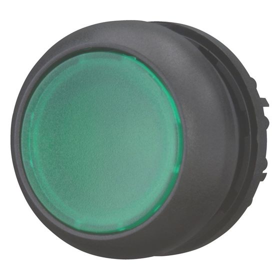 Eaton Leuchtdrucktaste RMQ-Titan M22S-DL-G, 22,5mm, Kunststoff, Grün