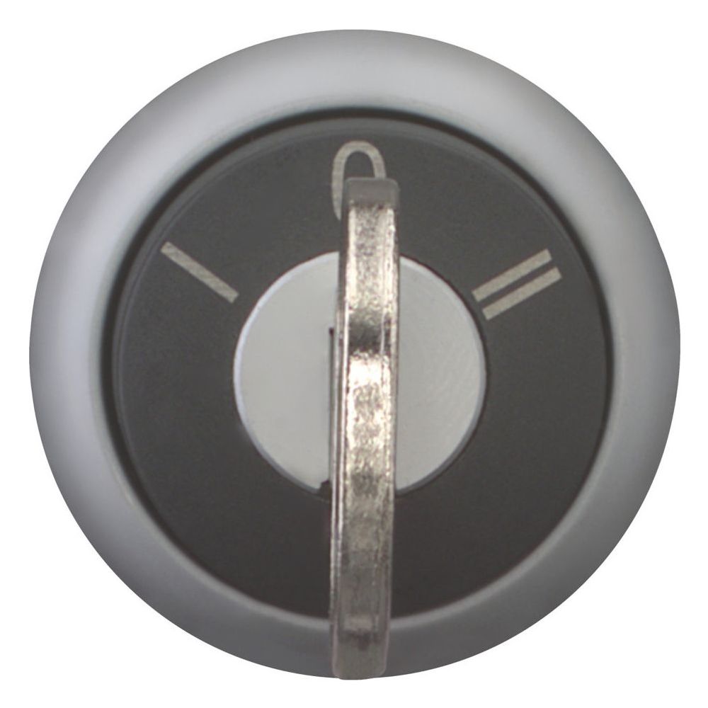 Eaton Schlüsseltaster M22 M22-WS3, 22,5mm, Kunststoff, Titan, Schwarz... EATON-216894 4015082168940 (Abb. 2)