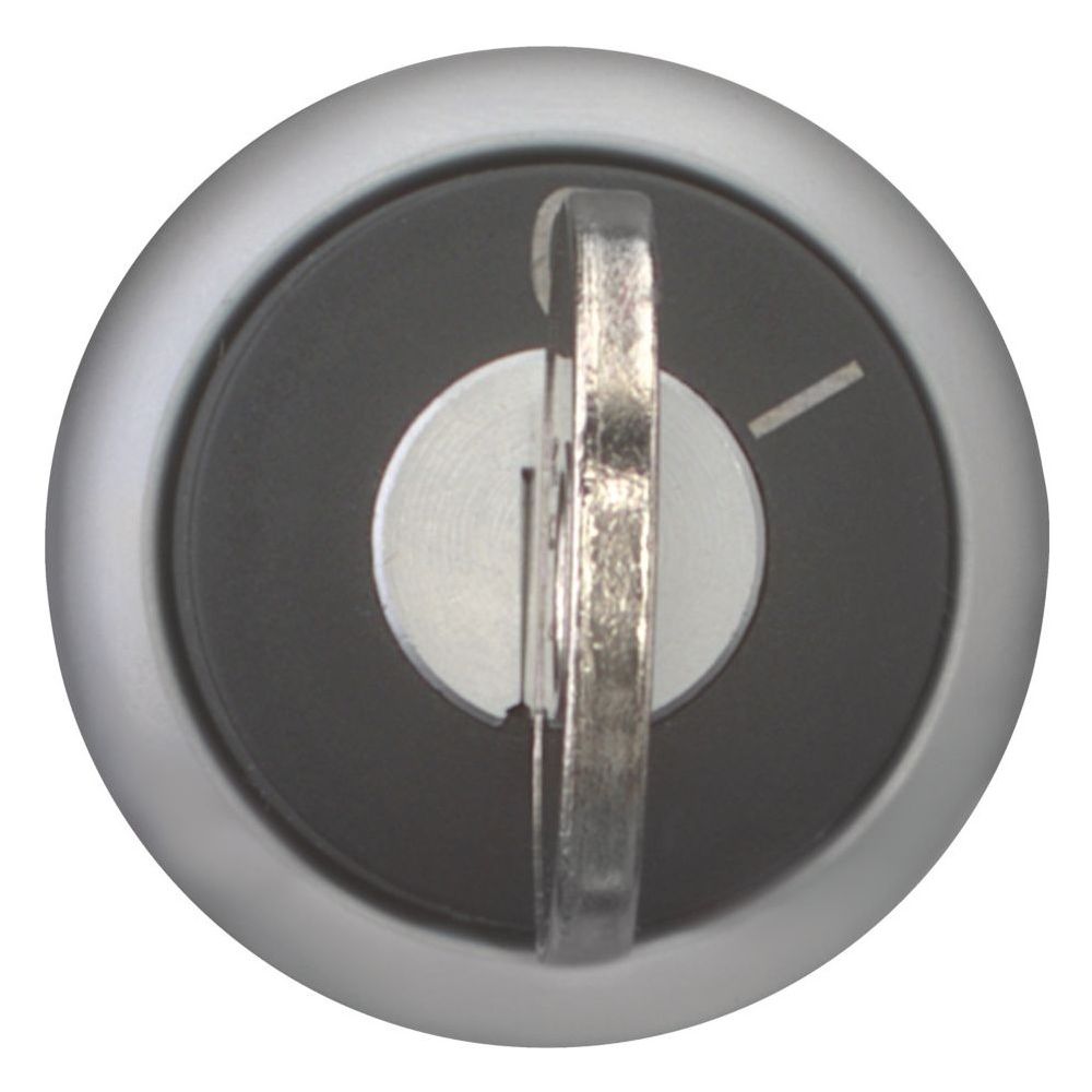 Eaton Schlüsseltaster RMQ-Titan M22-WRS, 22,5mm, rastend, 2 Stellungen, Kunststoff, Titan... EATON-216887 4015082168872 (Abb. 6)