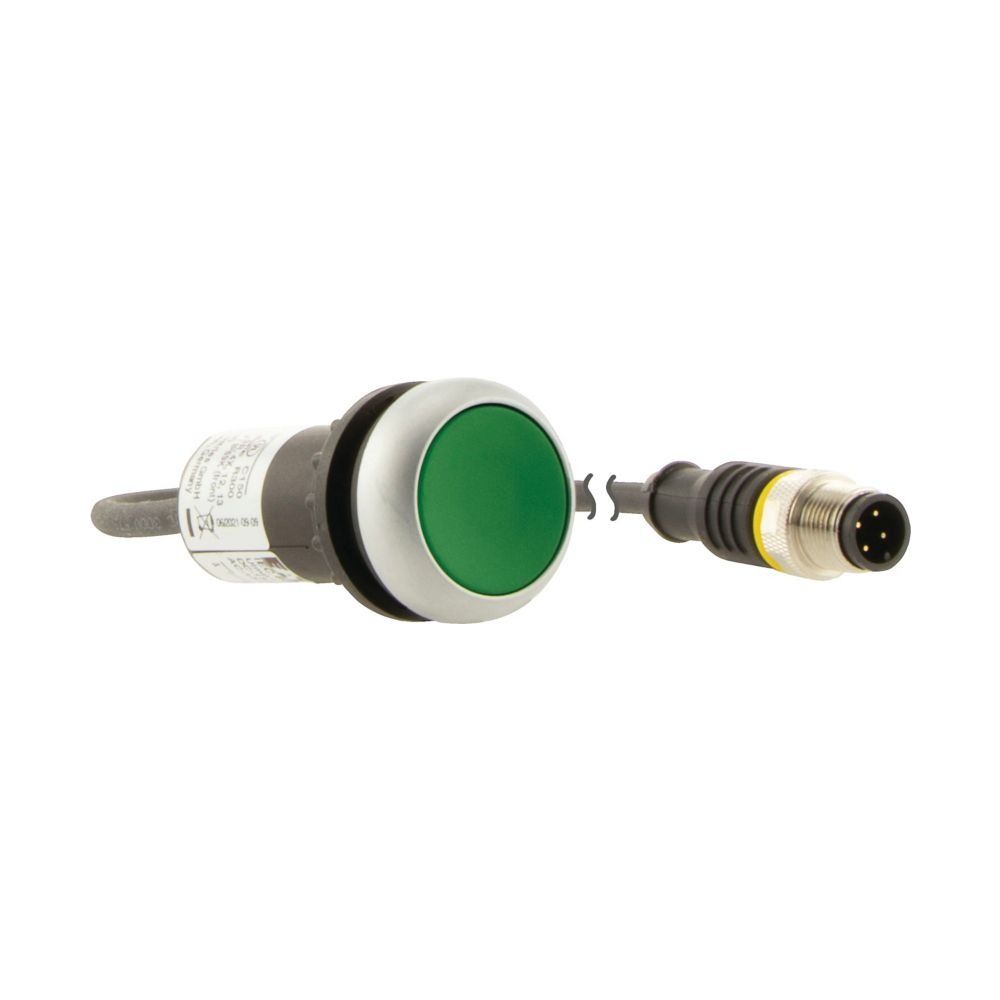 Eaton Drucktaster C22 C22-D-G-K10-P3, 0,5m Kabel, Kunststoff, Grün... EATON-181632 4015081764990 (Abb. 6)