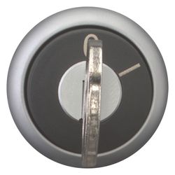 Eaton Schlüsseltaster RMQ-Titan M22-WRS-MS2, 22,5mm, Kunststoff, Titan, 1... EATON-111778 4015081113286 (Abb. 1)