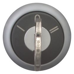 Eaton Schlüsseltaster M22 M22-WS3, 22,5mm, Kunststoff, Titan, Schwarz... EATON-216894 4015082168940 (Abb. 1)