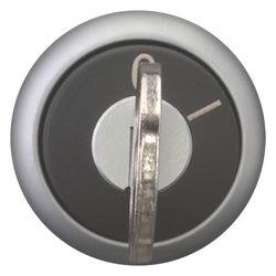 Eaton Schlüsseltaster RMQ-Titan M22-WRS-MS2, 22,5mm, Kunststoff, Titan, 1... EATON-111778 4015081113286 (Abb. 1)