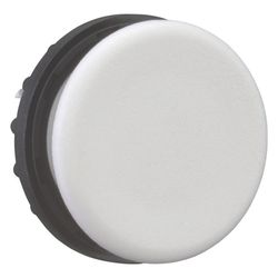 Eaton Blindverschluss M22 M22-B, 22mm, Kunststoff, Grau... EATON-216388 4015082163884 (Abb. 1)