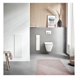 emco WC-Modul asis pure Unterputz, 730mm, rechts, Aluminium, Alpinweiß... EMCO-975551301 4018445127301 (Abb. 1)