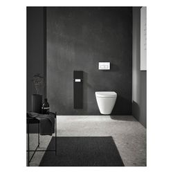 emco WC-Modul asis pure Unterputz, 730mm, rechts, Aluminium, Alpinweiß... EMCO-975551301 4018445127301 (Abb. 1)